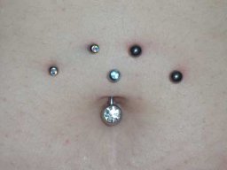 Bauch