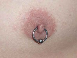 Alle Bilder &raquo; Piercings &raquo; Brust (Mann)