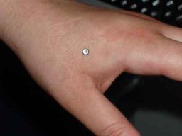 Alle Bilder &raquo; Piercings &raquo; sonstige